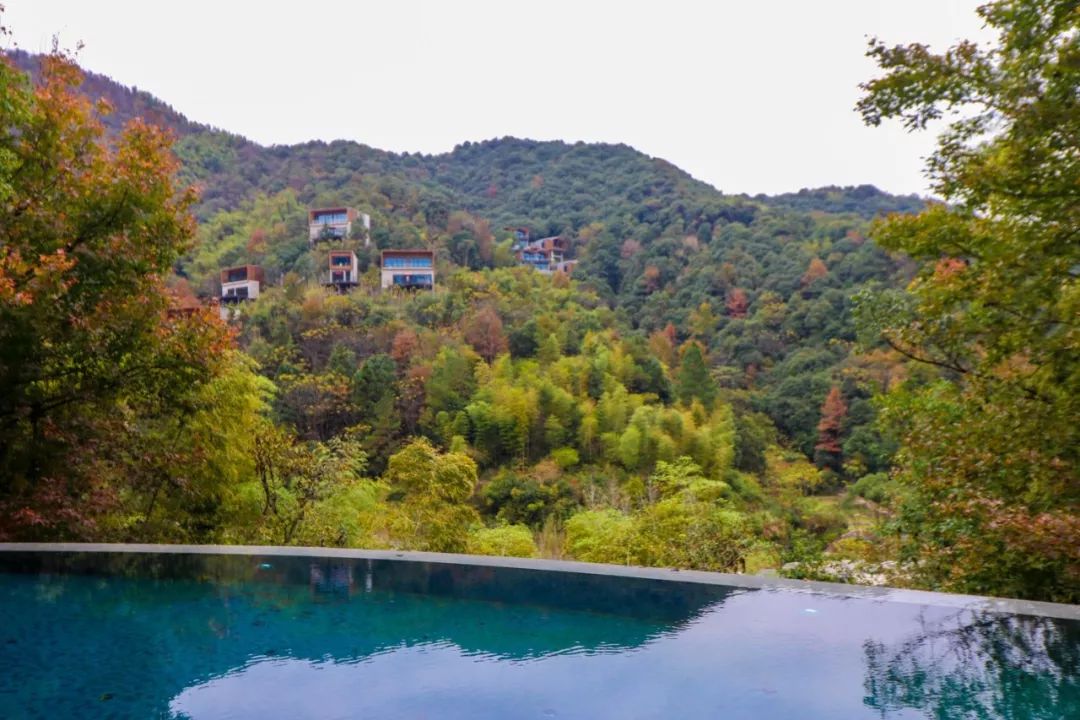 新昌安岚山居酒店,温泉入户竹林山居