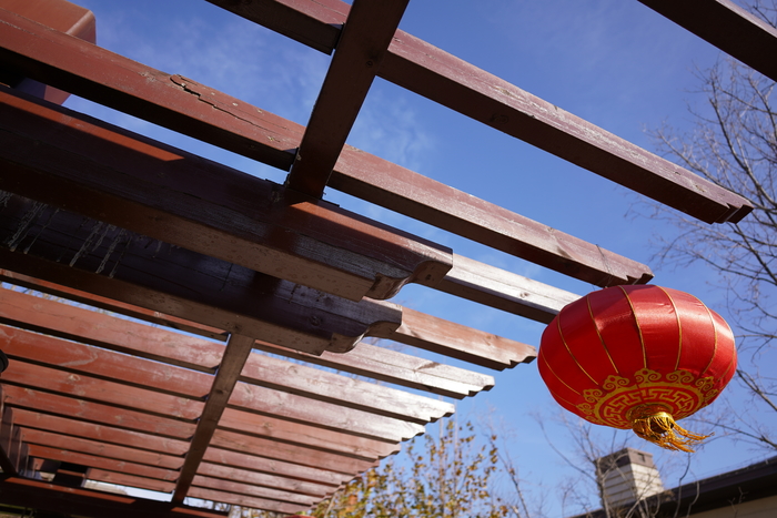 腾龙24mmf2.8定焦镜头视频测试,腾龙最新e卡口镜头