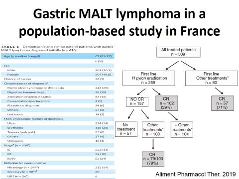 精准诊疗，规范先行|李志铭教授：胃粘膜相关淋巴瘤的发病机制与治疗|CSCO淋巴瘤学院