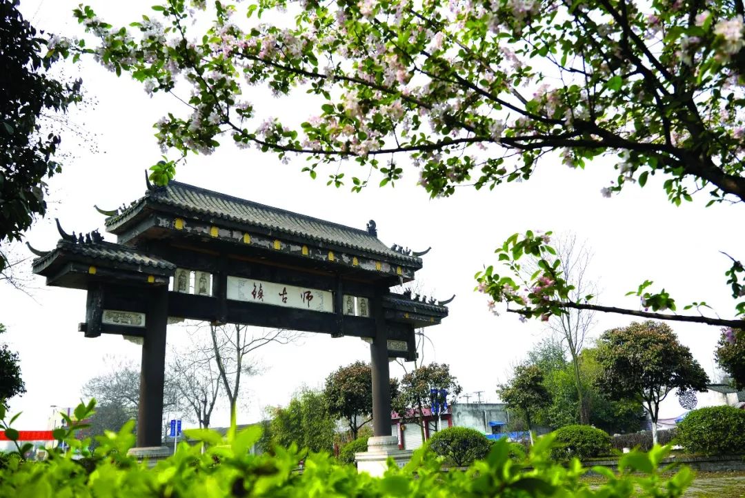 浓浓古典意蕴，孕育千年相思树！什邡这个小镇真的很美
