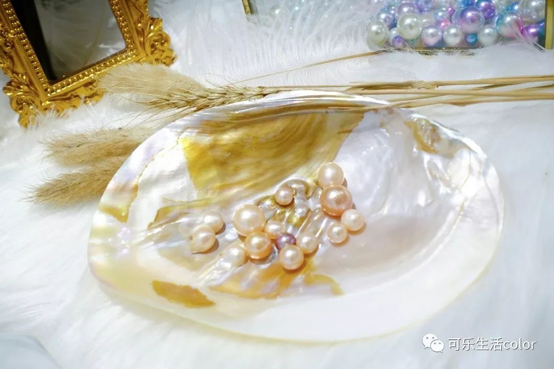 鲜活蚌珍珠探店,珍蚌开蚌珍珠diy体验馆从化