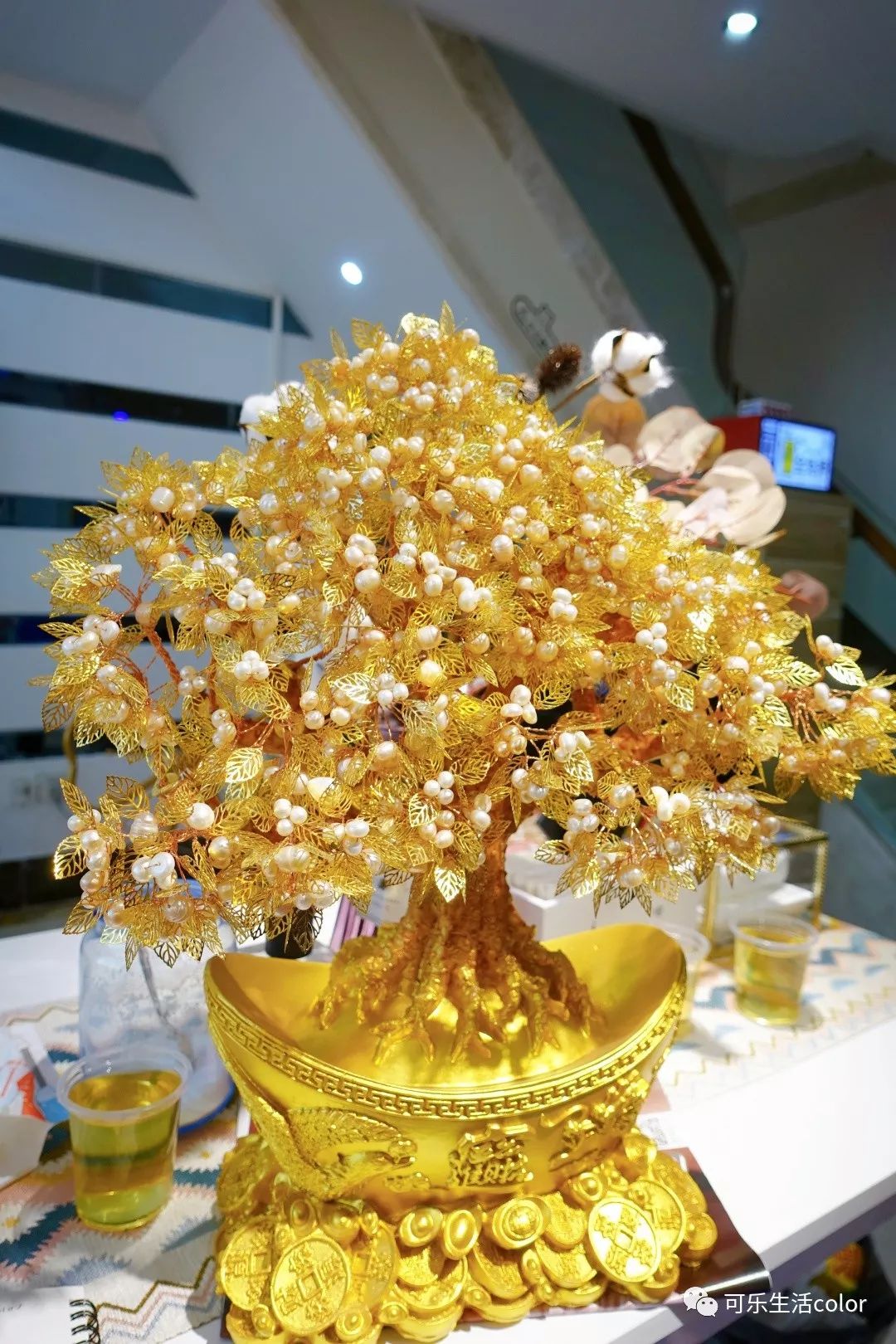 鲜活蚌珍珠探店,珍蚌开蚌珍珠diy体验馆从化