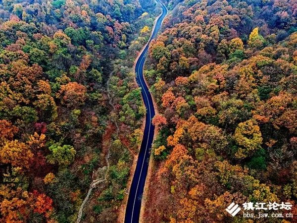 过年去镇江一日游去哪里好,镇江过年去哪儿旅游合适
