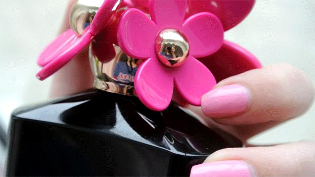 权志龙喜欢的雏菊是什么雏菊,权志龙的小雏菊为什么少一半