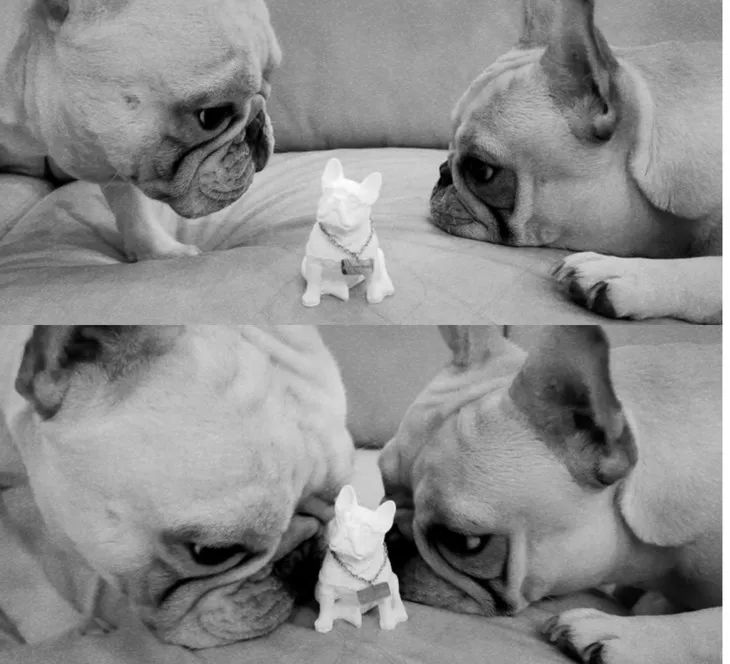 时髦办|“圣诞限定款”的魔力就是：年年让我心甘情愿掏钱包