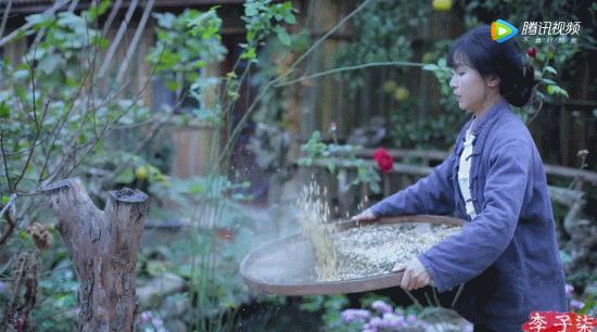 李子柒成中国海外第一红人,李子柒火遍全球的视频