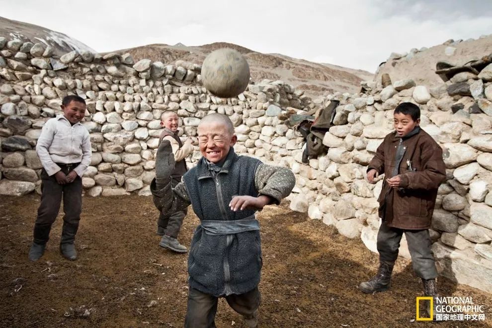 球进了,球进了吗