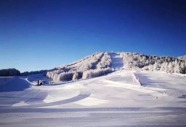 湖北最值得去的滑雪场,湖北十大滑雪场排名