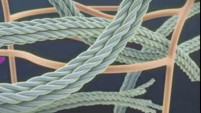 热玛吉抗衰老手术适应6类人群,了解热玛吉抗衰老看这篇就够了