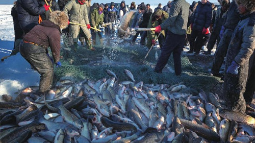 镜泊湖冬日瀑布,冬天镜泊湖吊水楼瀑布