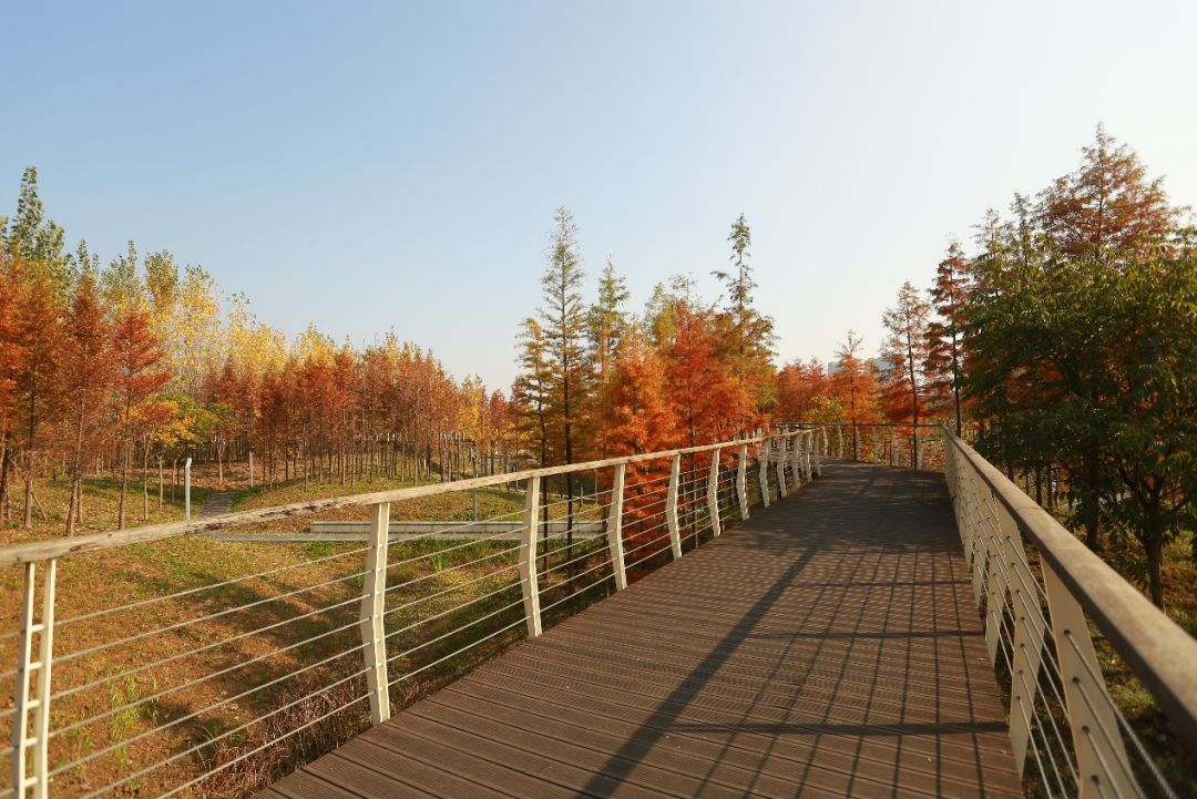 义乌十大网红打卡地,义乌网红打卡小镇