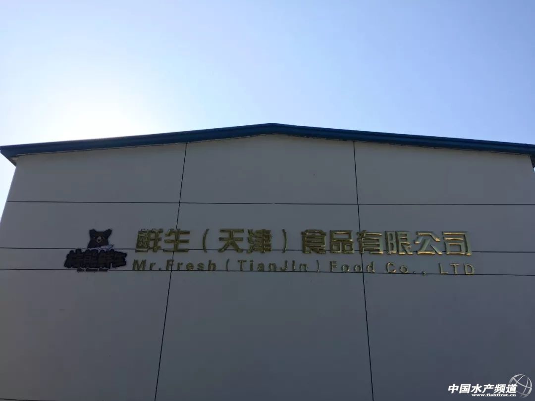 全国最大三文鱼批发市场,全国三文鱼进货渠道在哪里