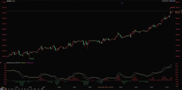 今天钯金价格是多少钱一克,钯金价格今日查询多少钱一克