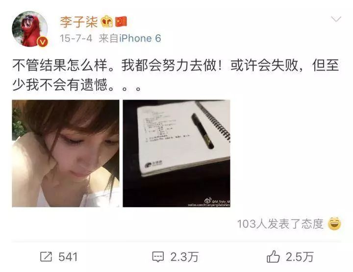 李子柒央视说最想做的三件事,李子柒受到央视表扬