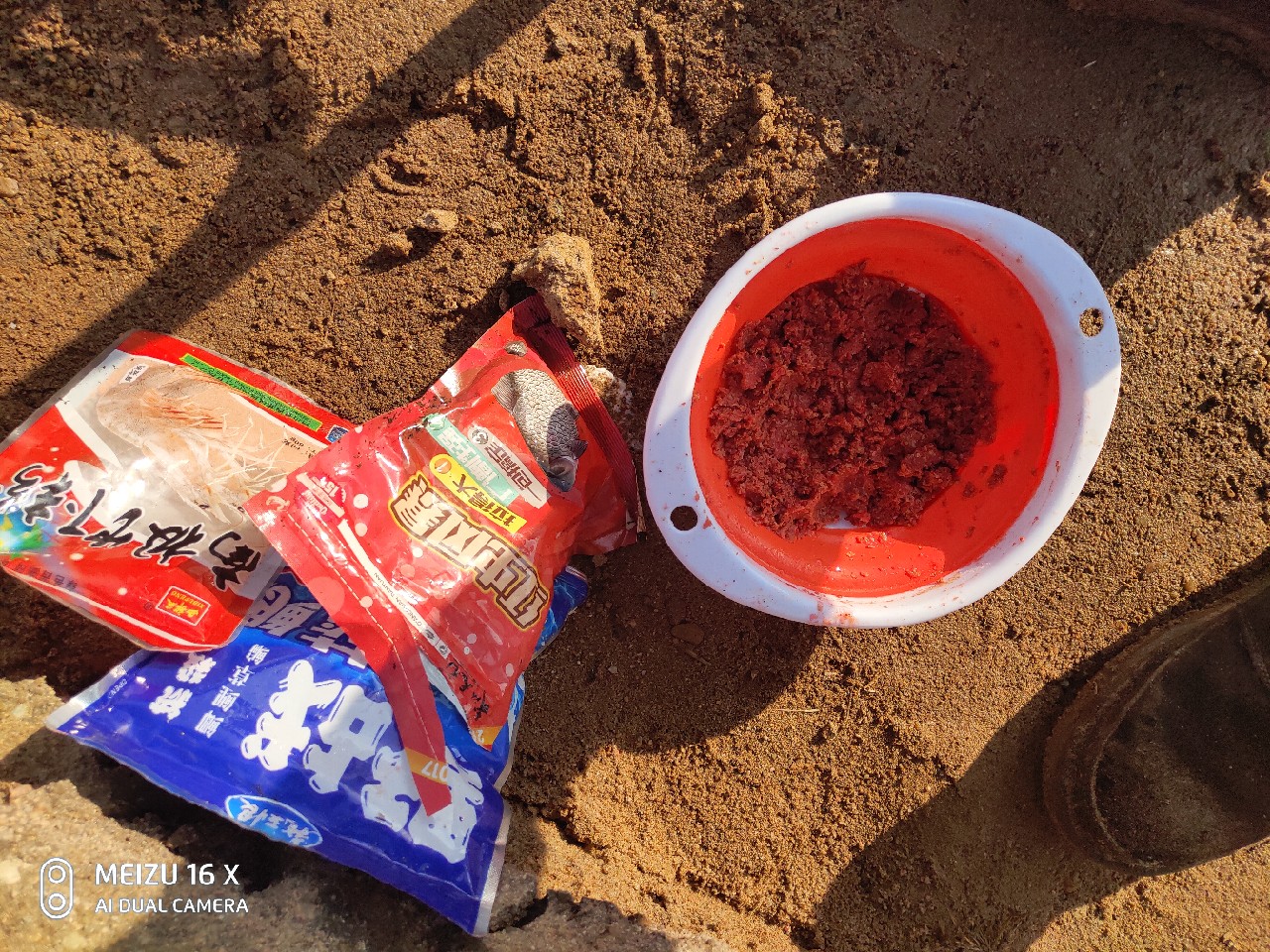 沙河钓大板鲫,沙河钓乌龟