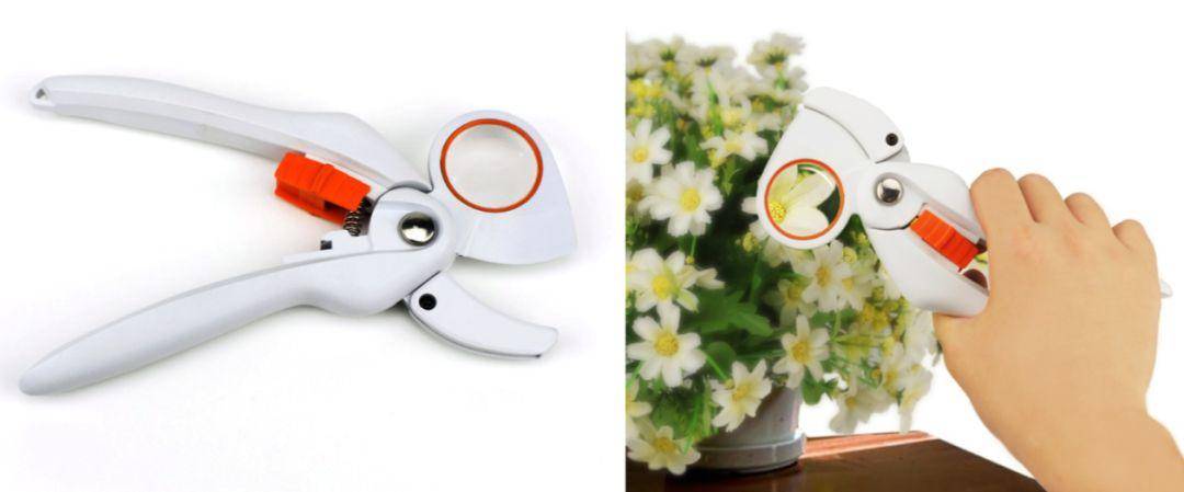 9年，155个奖项，这个工作室每年基本上要么是在领奖，要么是在领奖的路上