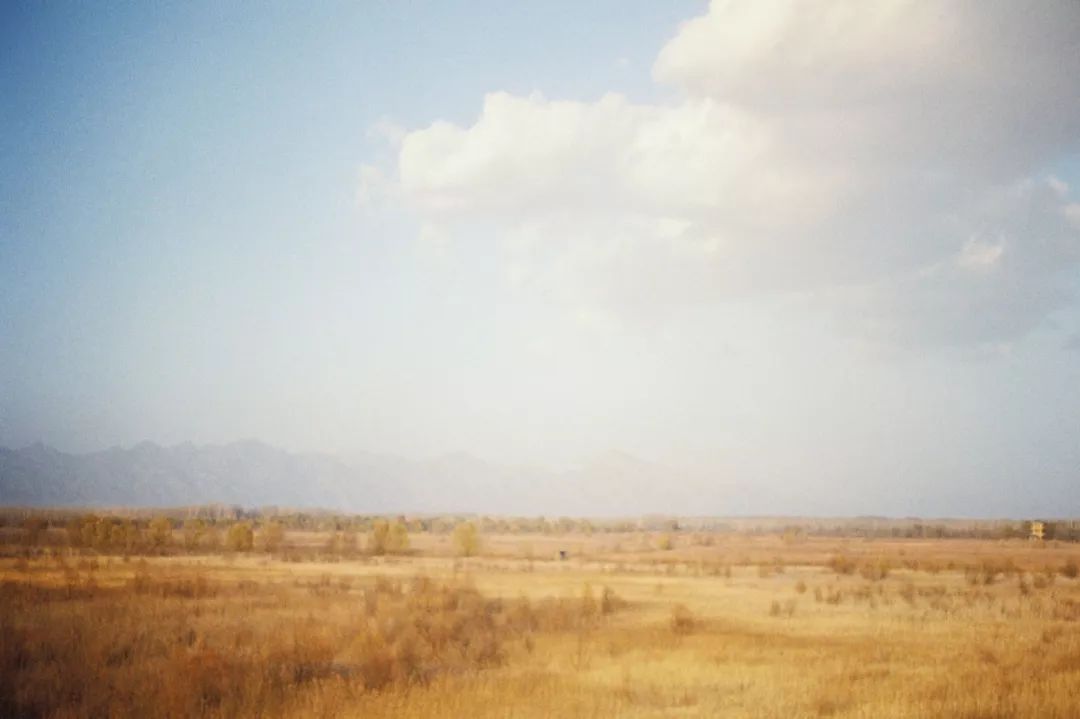 生活中不要怨天尤人,职场急功近利的人