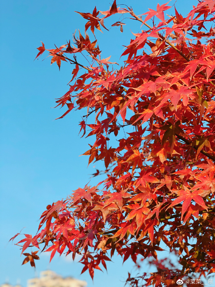 最新福州温泉公园,福州温泉公园