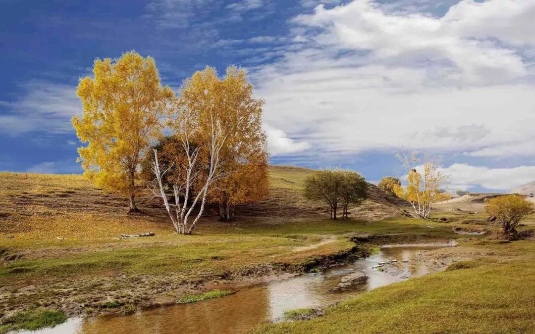 央视怀旧经典背景音乐,央视经典背景音乐排名