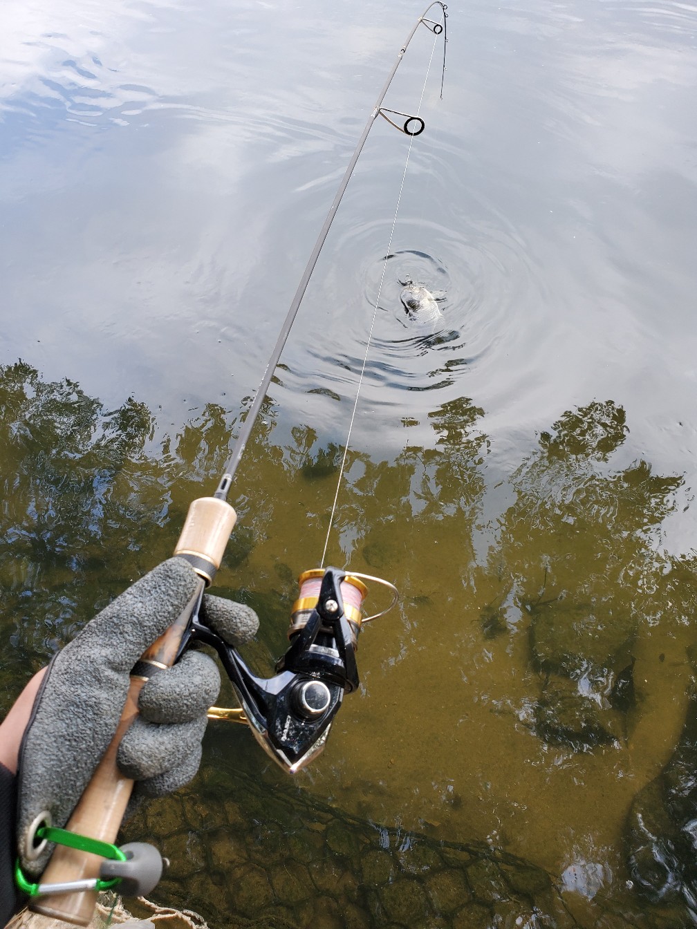 路亚打竿新手入门教程,新手路亚打翘嘴视频教程