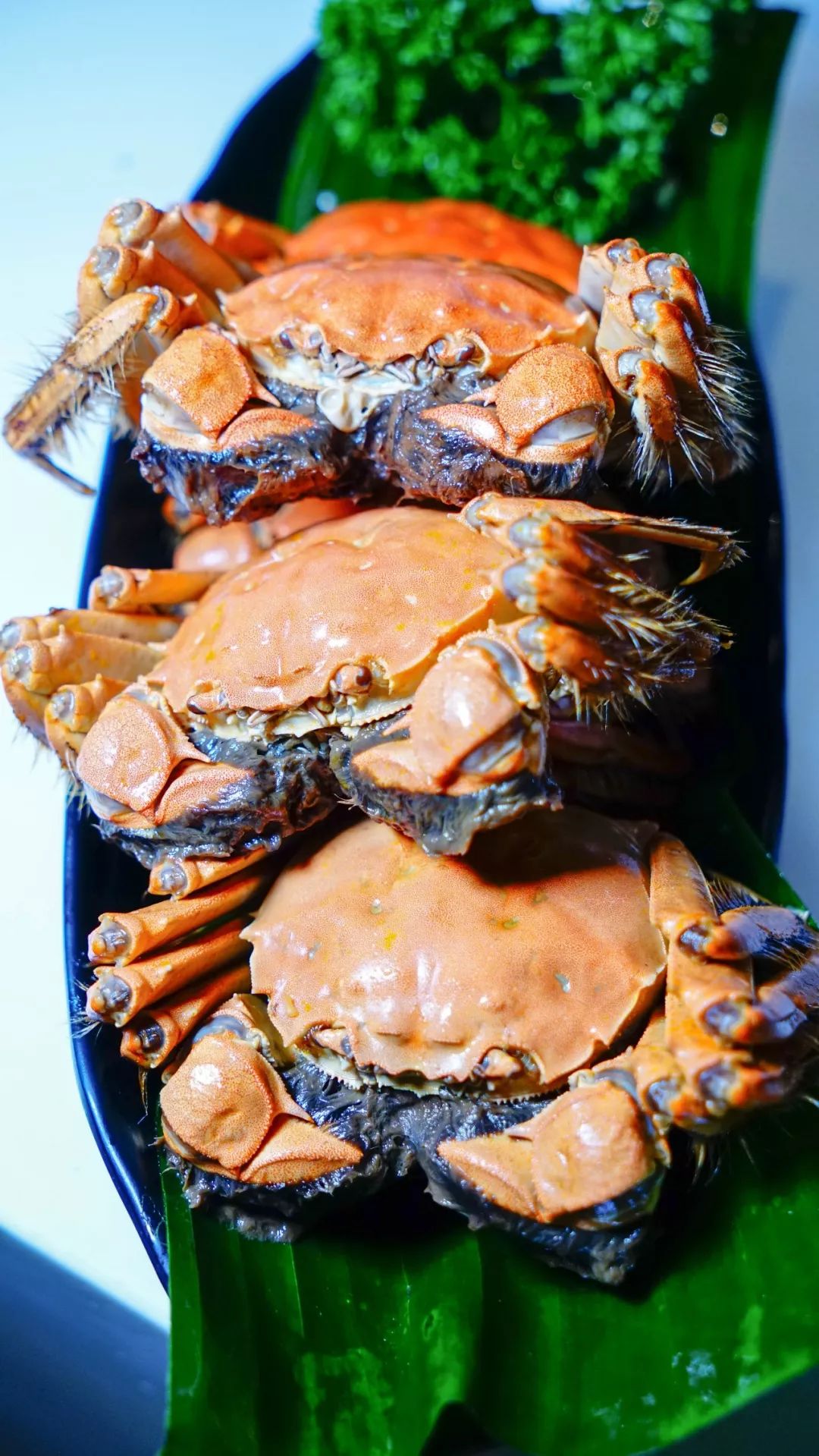 ￥299/2位-爱了！鹅肝澳牛瓦罐汤大派送，生蚝熟醉蟹牛肉煲敞开吃