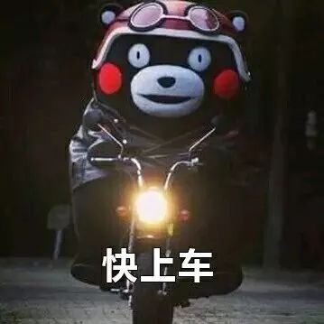 100%纯羊绒围巾清仓直播同城发货,厂家清仓直销獭兔毛围巾