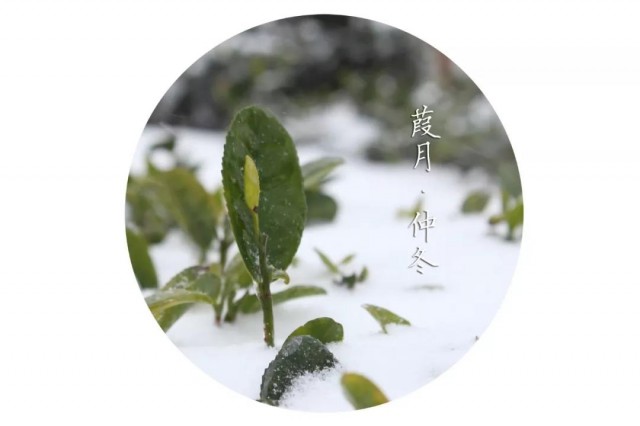 日照金山,日照房价