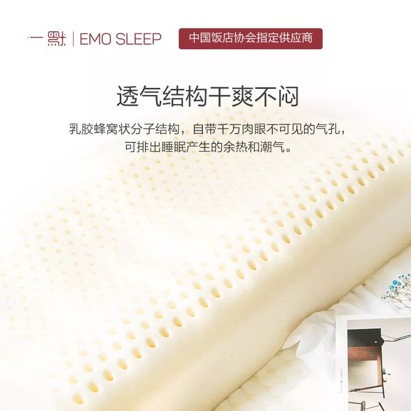 这个乳胶枕太强了！止鼾、防螨虫，全家适用的睡眠伴侣