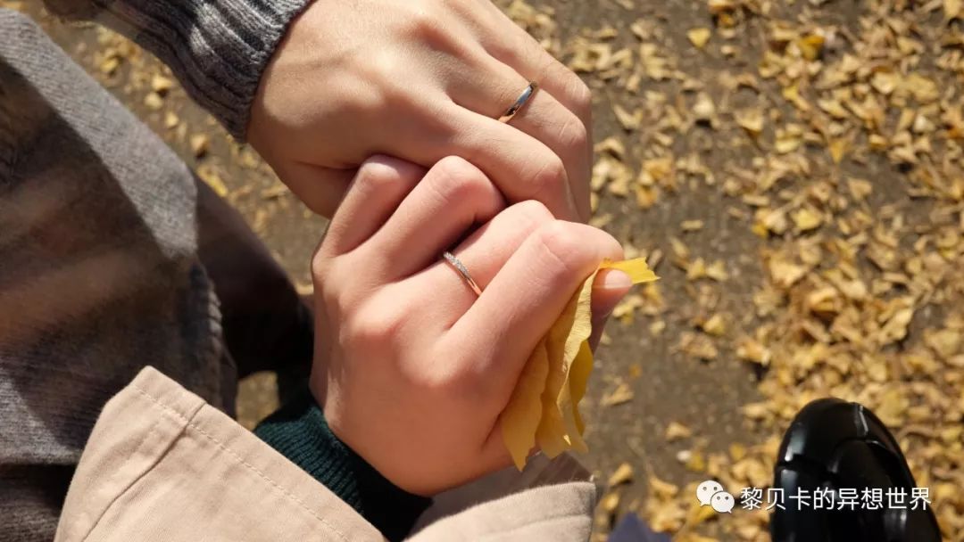 一年到头买了不少东西,总有一个越用越满意