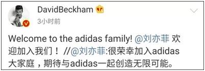 刘亦菲阿迪达斯新品发布会,adidas广告刘亦菲杨幂