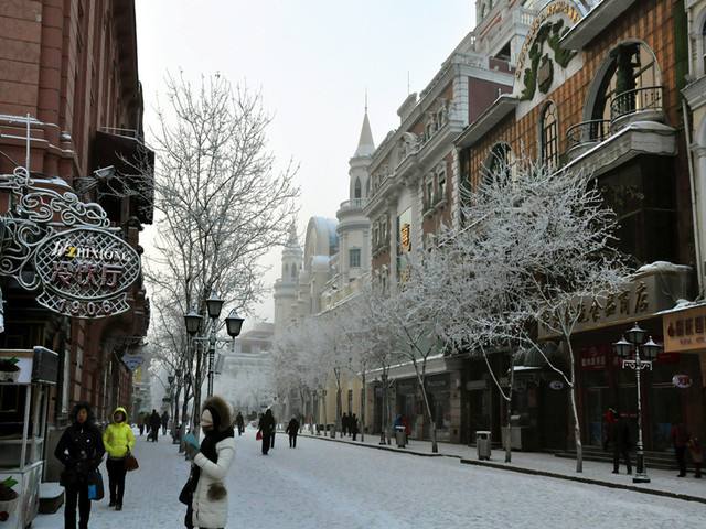 北国冰雪好风光尽在黑龙江,黑龙江冰雪旅游七日游