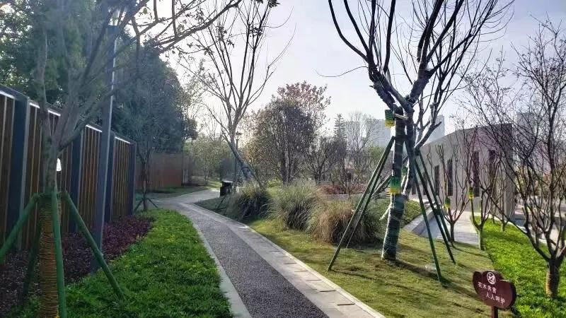 打造特色标杆园区的情况报告,片区改造最新信息