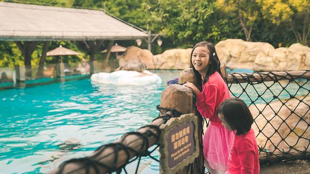 长隆海洋王国海牛馆探秘,珠海长隆海洋王国海底夜宿