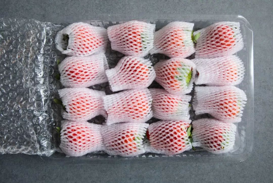 涓逛笢绾㈤鑽夎帗浜у湴鍦ㄥ摢,涓逛笢绾㈤鑽夎帗澶ф灉浠锋牸琛屾儏