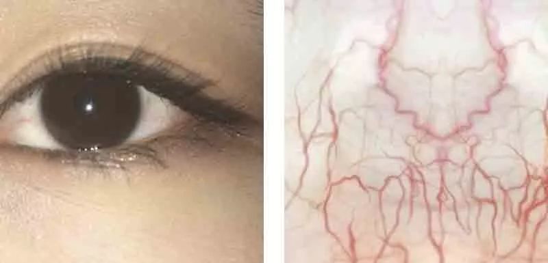 百亿影后再创佳绩，90后大军正式接棒坐镇大荧幕