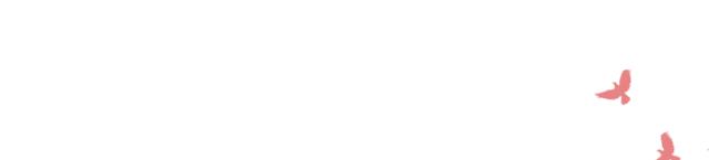 老上海经典品牌,盘点经典上海老品牌