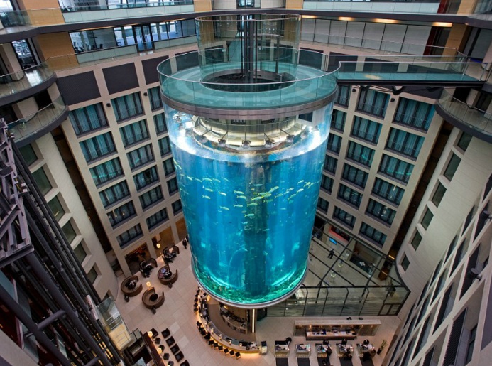 世界上最大的鱼缸是什么,全球最长最大的海洋鱼缸建造过程