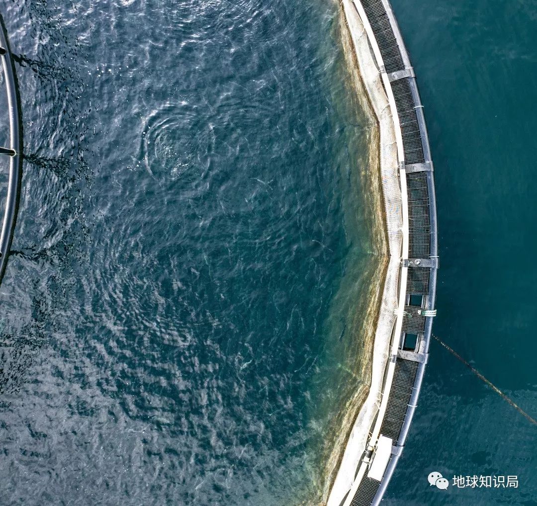 沿海人民是如何喂饱中国的？