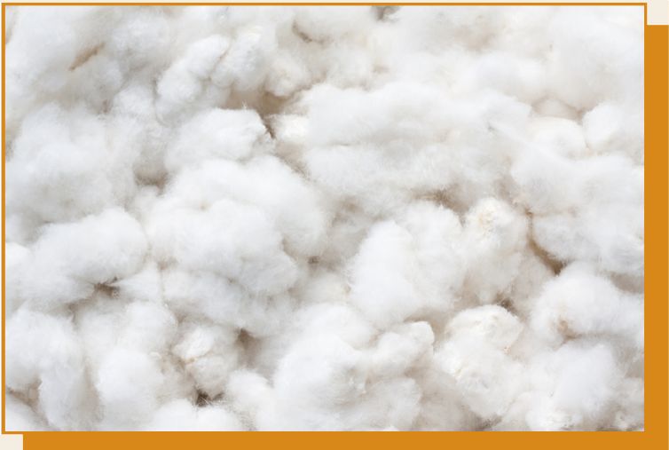 摇粒绒什么面料最好,摇粒绒会变大吗