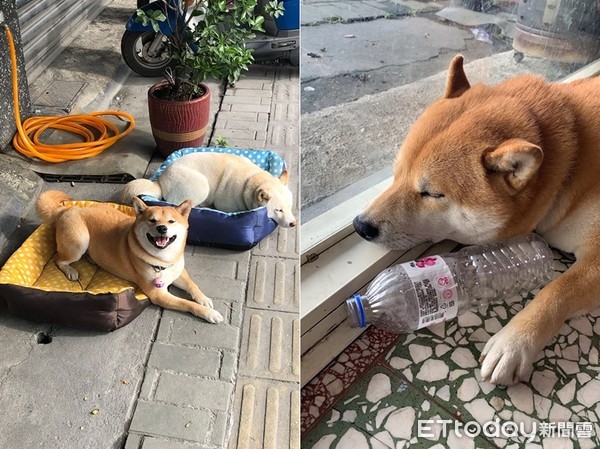 痴汉柴见短裙黑丝辣妹起色心！　双手环抱美腿做不雅动作