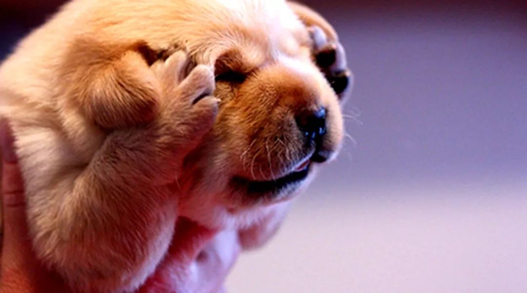 老汉破口大骂完整版,怒怼广场舞大妈解气时刻