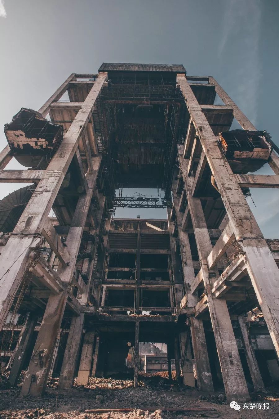 365天，行走3.2万千米，拍摄13万张照片！黄石人到底有多“野”？