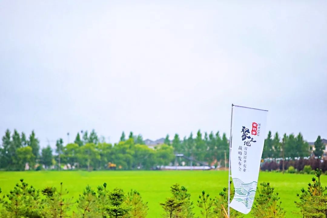 春节买年货这几种东西尽量少买,过年必备的年货赶紧购起来