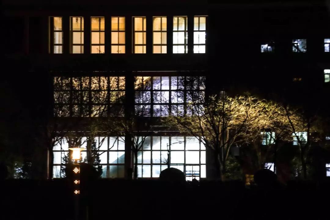 这还是我认识的相机吗,这还是我认识的二哈吗