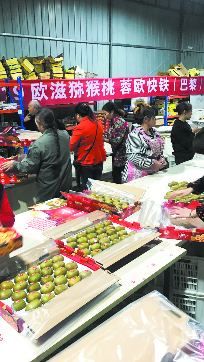 如鱼得水金堂,如鱼得水企业文化