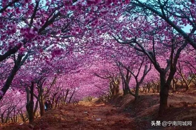 宁南，一座自然景观绽放的魅力小城