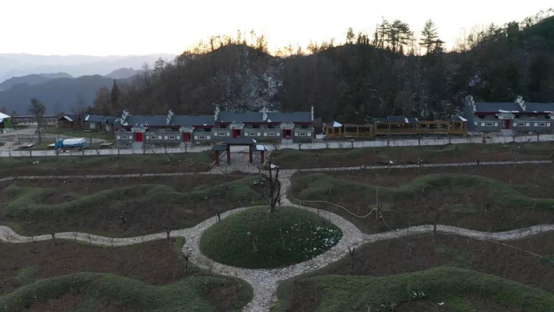 黄龙观村有眼光！以前靠山吃山，现在养山富山