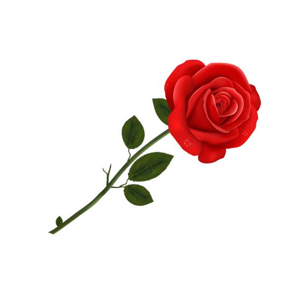 闲话服装,时尚博主服装分享