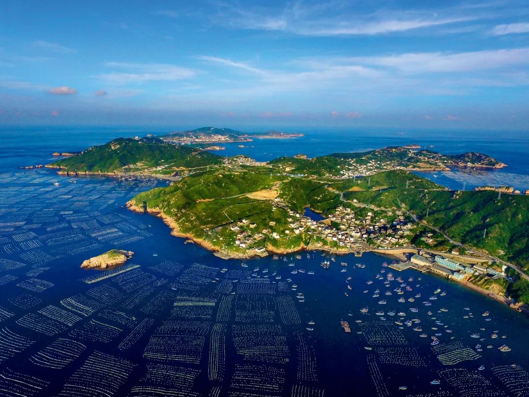 过年新鲜海鲜有哪些,中国人过年常吃什么