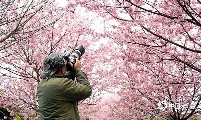 三九四九真的很冷科学依据,什么时候开始数九最冷